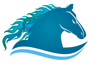 R Wild Ride Podcast